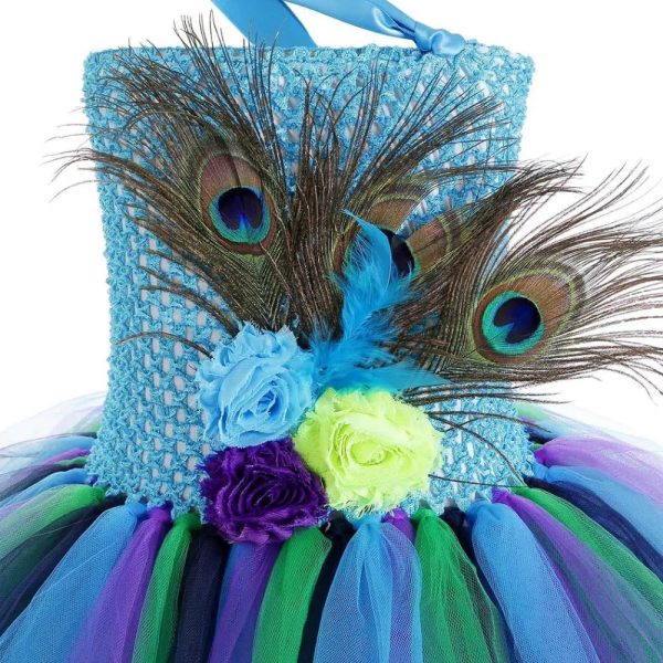 PEACOCK (3)